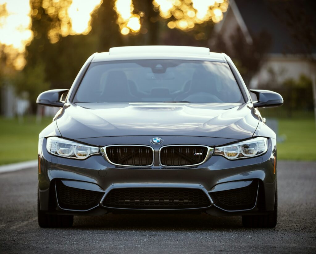 black BMW car surrounded by grass field
